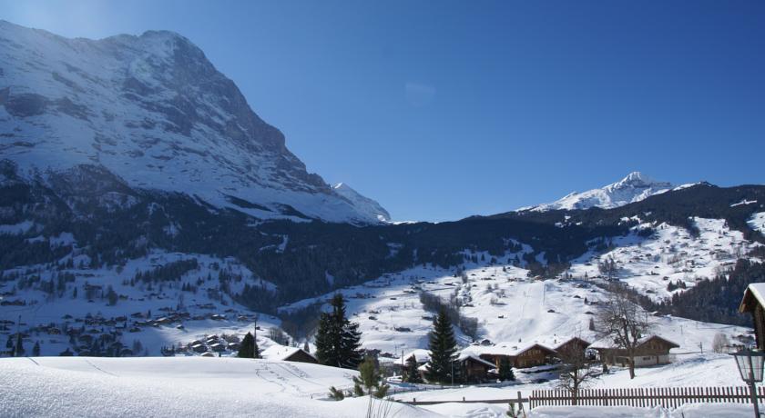 Apartment Baergrose - Griwa Rent Ag Grindelwald Bagian luar foto